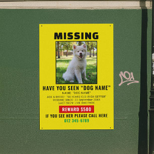 Urgent Missing Dog Pet Alert Template Poster