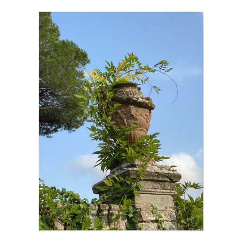 Urn in the Garden at the Villa in Siena Italy Photo Print