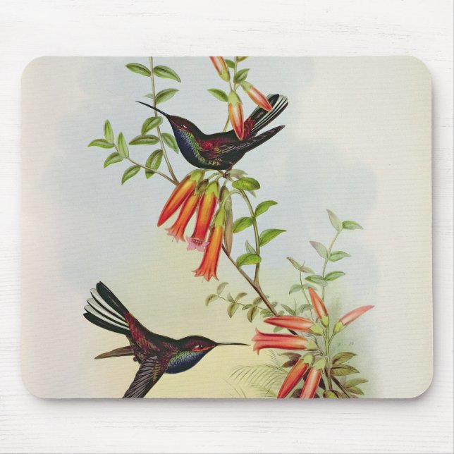 Urochroa Bougieri Mouse Pad (Front)