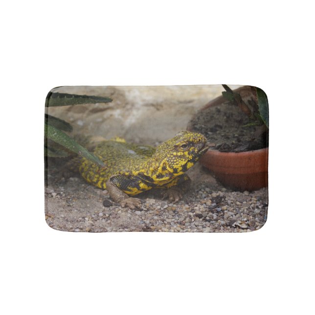 Uromastyx geyri bathroom mat (Front)
