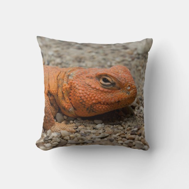 Uromastyx geyri throw pillow (Front)