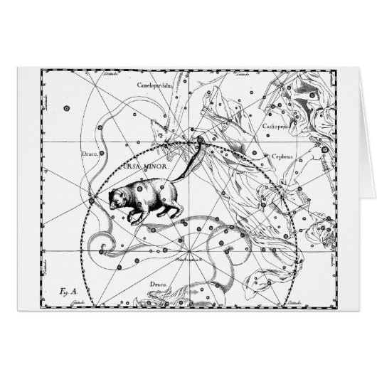 Ursa Minor Cards (Front Horizontal)