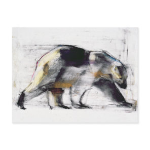 Ursus Maritimus 1999 Postcard