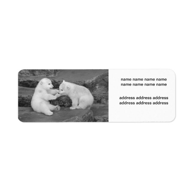 Ursus maritimus label (Front)