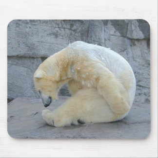 Ursus maritimus mouse pad