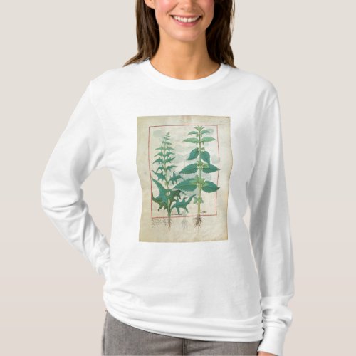 Urticaceae T_Shirt