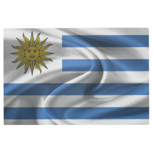 Uruguay Flag Metal Print