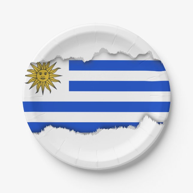 Uruguay Flag Paper Plates (Front)