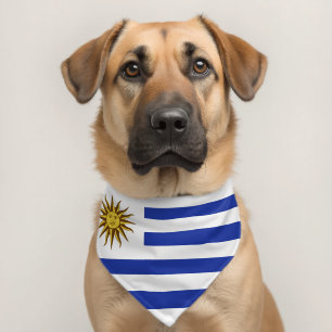 Uruguay flag pet bandana collar
