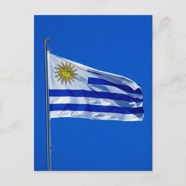 uruguay flag postcard (Front)