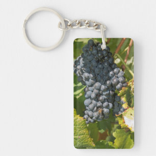 Uruguay, Montevideo, Colon Area. Bodegas Keychain