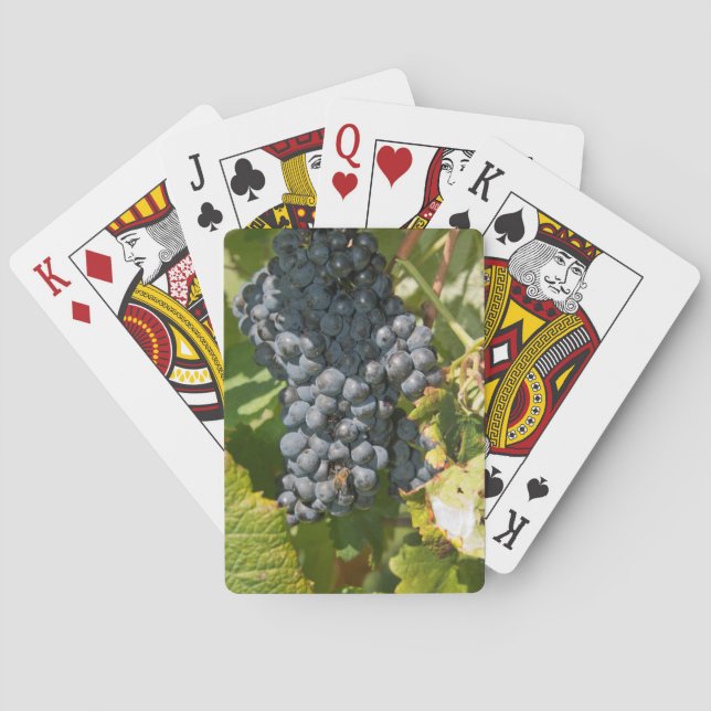 Uruguay, Montevideo, Colon Area. Bodegas Poker Cards (Back)