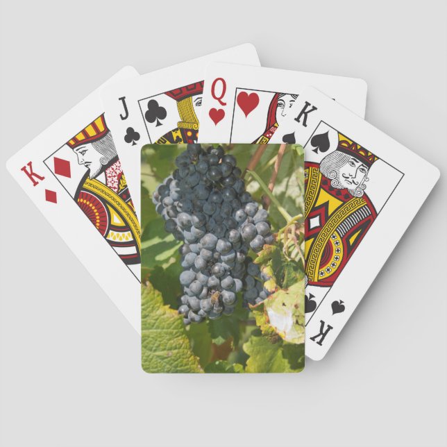 Uruguay, Montevideo, Colon Area. Bodegas Poker Cards (Back)