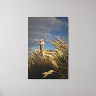Uruguay, Montevideo Department, Montevideo. 2 Canvas Print