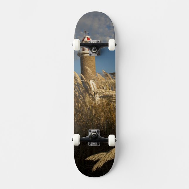 Uruguay, Montevideo Department, Montevideo. 2 Skateboard (Front)