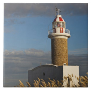 Uruguay, Montevideo Department, Montevideo. 3 Ceramic Tile