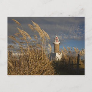 Uruguay, Montevideo Department, Montevideo. Postcard