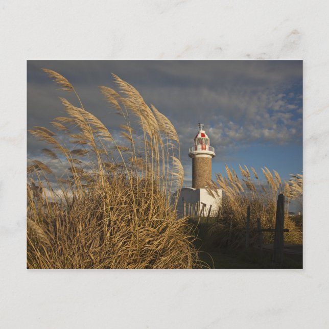 Uruguay, Montevideo Department, Montevideo. Postcard (Front)