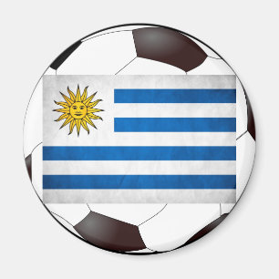Uruguay National Flag Magnet
