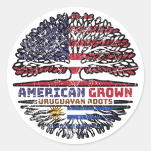 Uruguay Uruguayan US American USA United States Classic Round Sticker