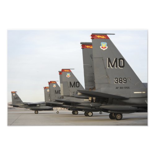 US Air Force F_15E Strike Eagles Photo Print