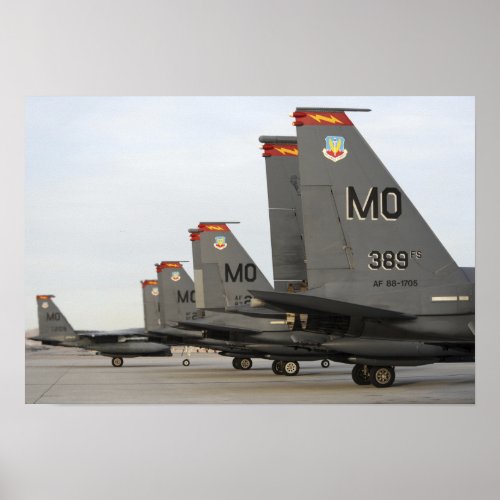 US Air Force F_15E Strike Eagles Poster