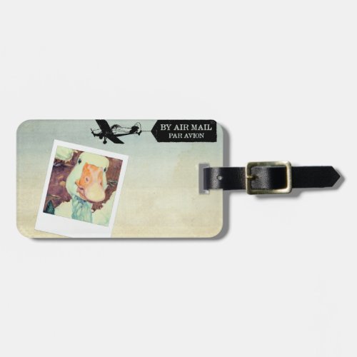 US Air Mail Goose Tan Hued Luggage Tag