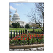US Capitol building spring (Front)