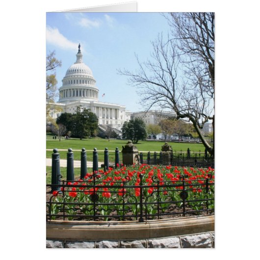 US Capitol building spring Cards (Front)