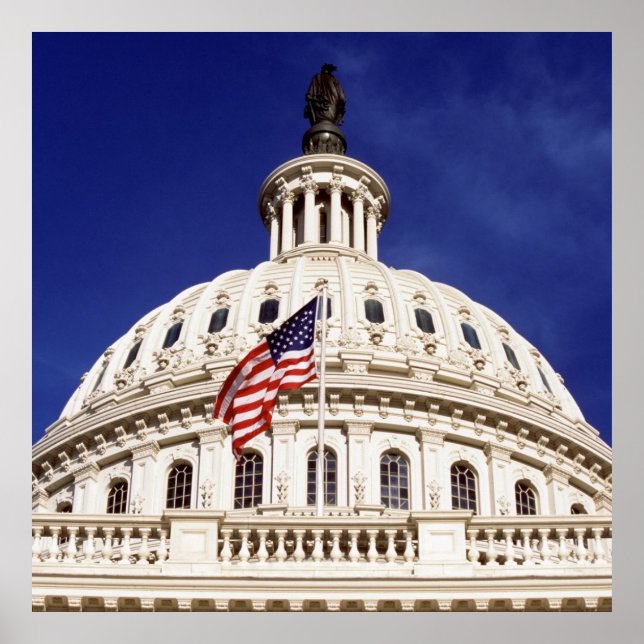 US capitol building, Washington DC Poster (Front)