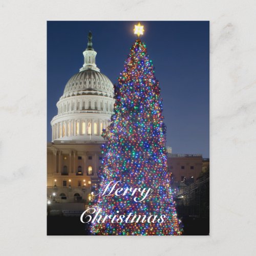 US Capitol Christmas Tree Postcard