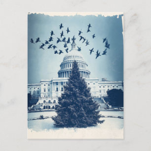 US Capitol Hill Christmas Tree Holiday Card, retro Postcard