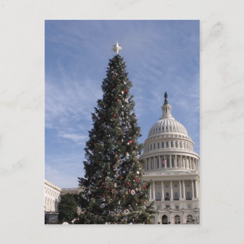 US Capitol Hill christmas tree Holiday Postcard