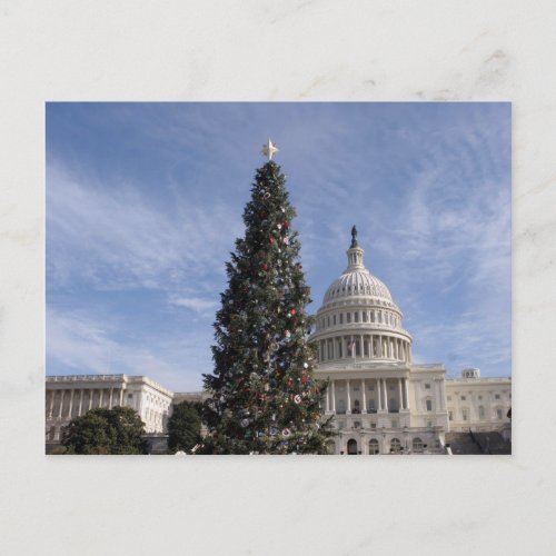 US Capitol Hill christmas tree Holiday Postcard