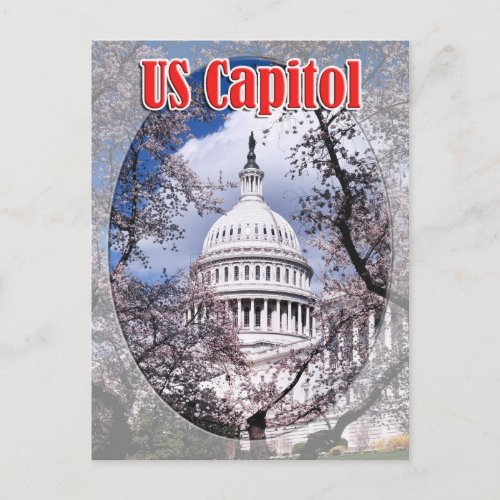 US Capitol with cherry blossoms Washington DC Postcard