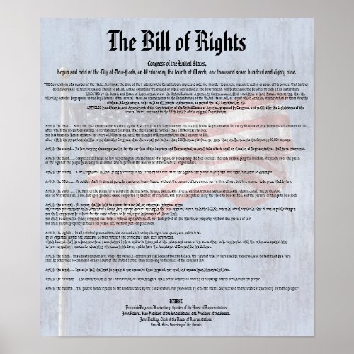 US Constitution Bill of Rights History Classroom Poster
