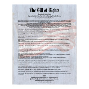 US Constitution Bill of Rights History Classroom Poster