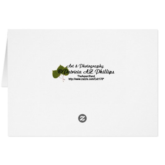 US Constitution Preamble Over Flag Segment (Back Horizontal)