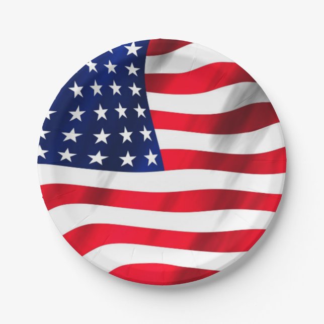 US Flag American Flag Fourth Of July Party Paper Plates (Front)