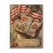 US Flag Lady Liberty Fireworks Firecracker