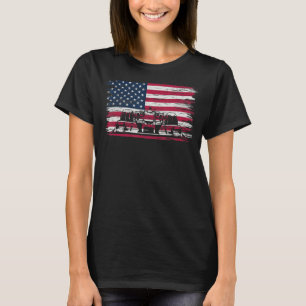 US Flag Patriot Formula Racing Lovers Car Fan T-Shirt