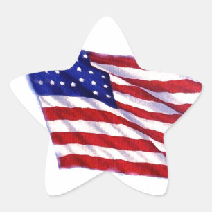 US Flag Star Sticker
