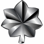 US Military Rank - Lieutenant Colonel Cutout<br><div class="desc">US Military Rank - Lieutenant Colonel military rank.</div>