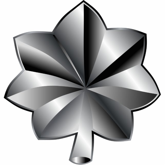 US Military Rank - Lieutenant Colonel Cutout (Front)