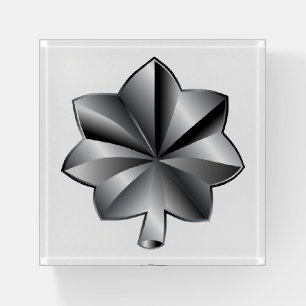 US Military Rank - Lieutenant Colonel Paperweight