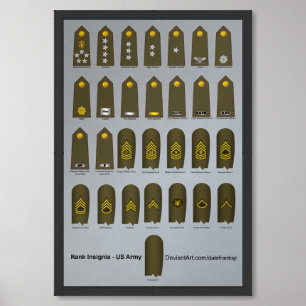 US Military Uniform Rank Insignia Army Framed Art