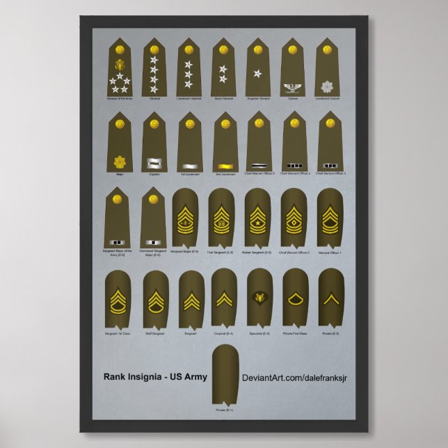 US Military Uniform Rank Insignia Army Framed Art (Framed Front)