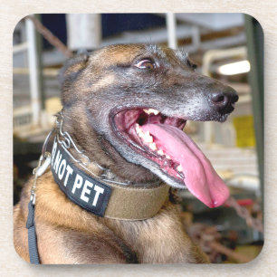 US MILITARY WORKING DOG BEVERAGE COASTER