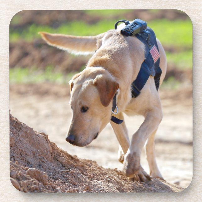 US MILITARY WORKING DOG BEVERAGE COASTER (Front)