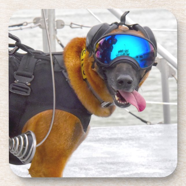 US MILITARY WORKING DOG BEVERAGE COASTER (Front)